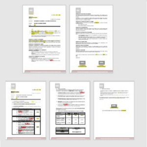 COMBO: MODELO DE PRESUPUESTO + CONTRATO